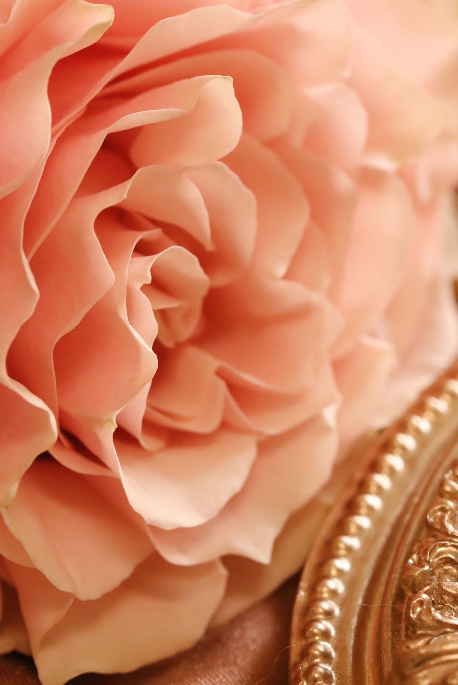Pink Jewelry